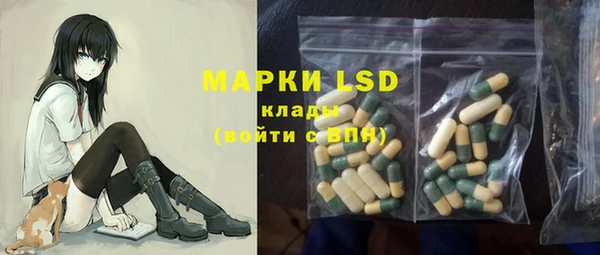 apvp Белокуриха