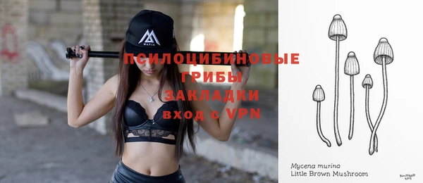 бошки Беломорск